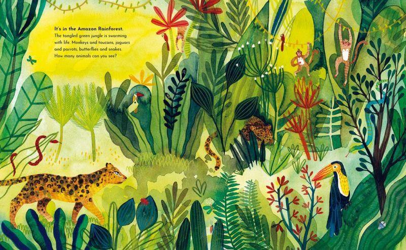 Eine Welt, viele Farben Midas Verlag