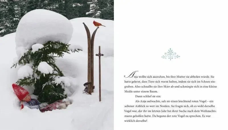 Eine wunderbarer Weihnachtswunsch Sauerländer Verlag