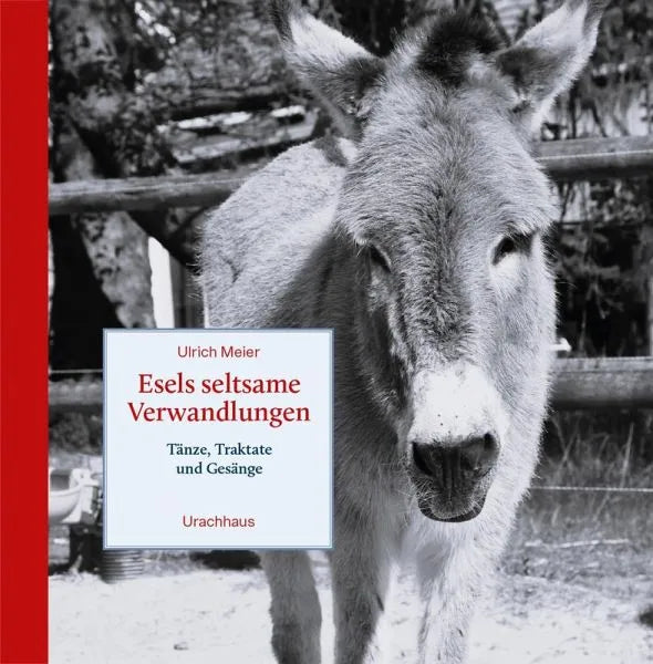 Esels seltsame Verwandlungen - 9783825154431 Urachhaus Verlag