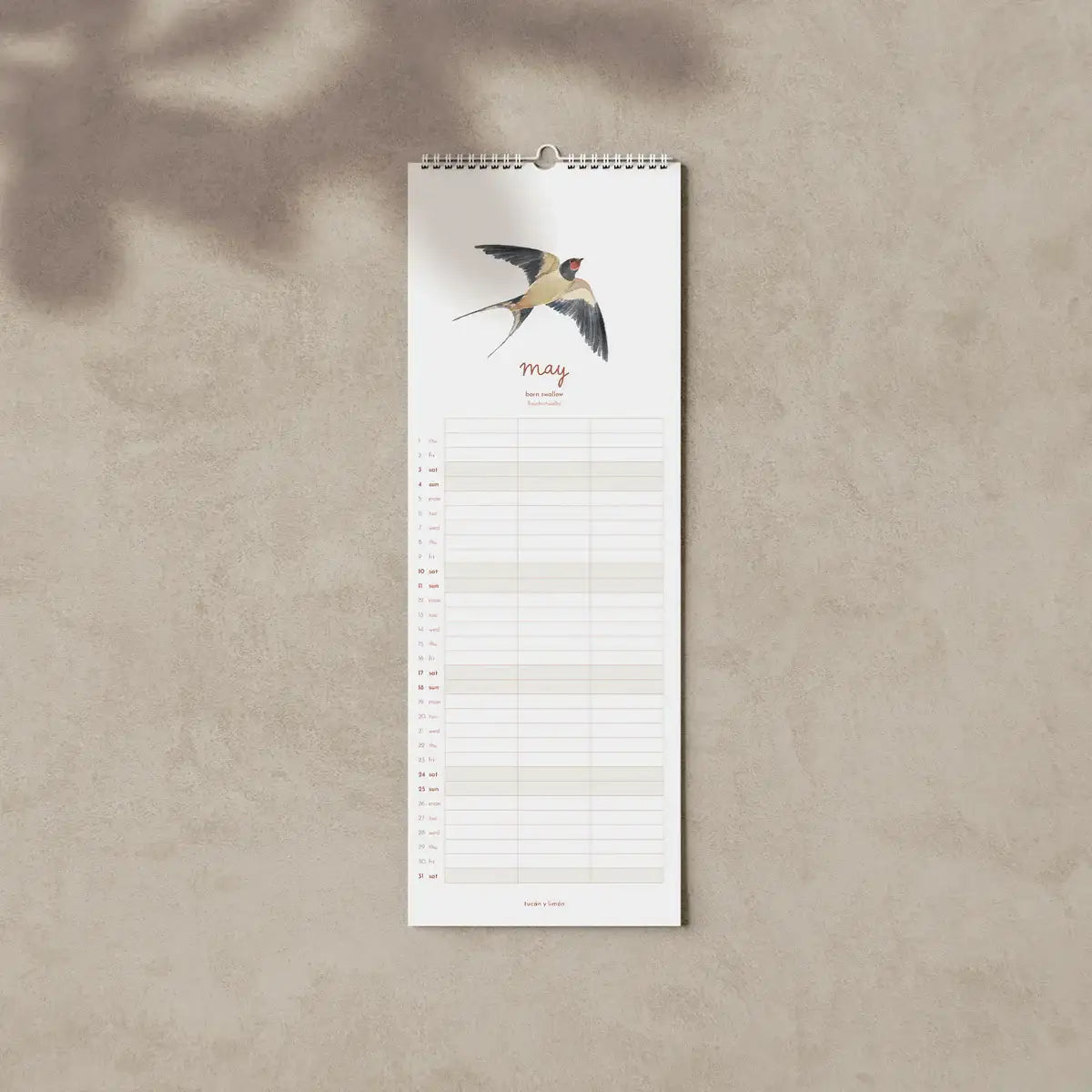 ca251-vogelkalender-5-tucanylimon - kunstundspiel 