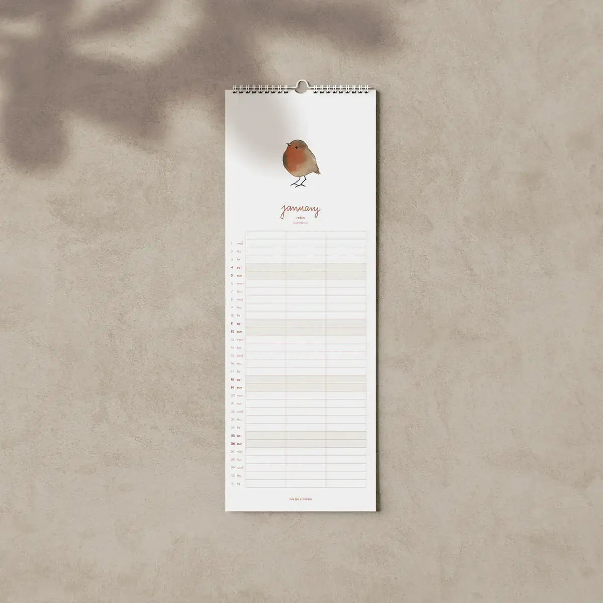 ca251-vogelkalender-1-tucanylimon - kunstundspiel 