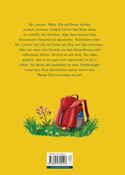 Ferienzeit im Holunderweg - 9783522305518 Gabriel Verlag