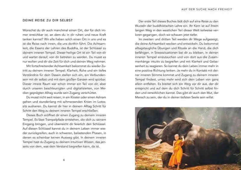 Finde den Tempel in dir - 9783833885983 Gräfe & Unzer