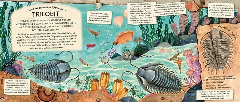 Fossilien - Schätze von Ammoniten bis zum T. Rex - 9783957289391 Knesebeck