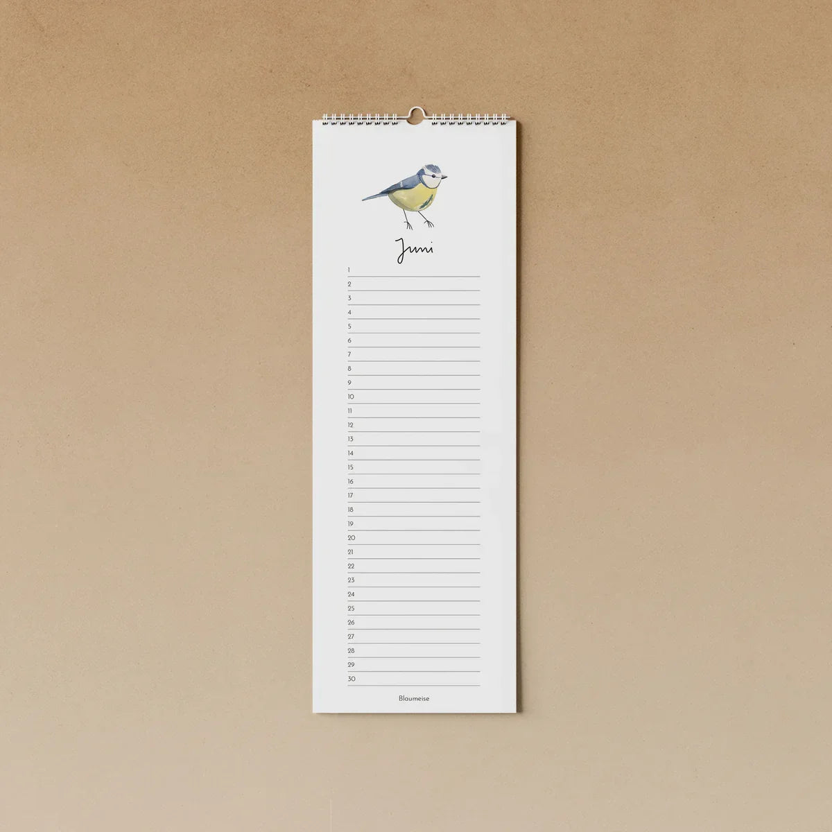 Geburtstagskalender - Gartenvögel - 91288240 tucán y limón