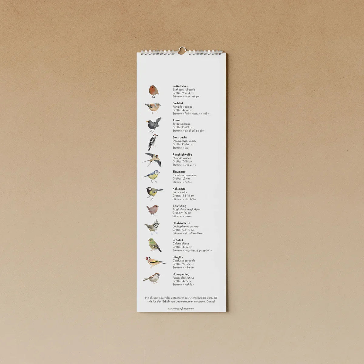 Geburtstagskalender - Gartenvögel - 91288240 tucán y limón