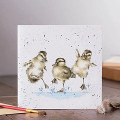 Grußkarte - Puddle Ducks - 3 Entchen in der Pfütze - JCS194 Wrendale
