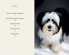 Hunde