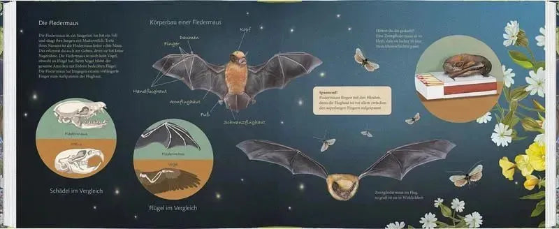 Ich bau dir ein Haus, kleine Fledermaus - 9783836963060 Gerstenberg Verlag