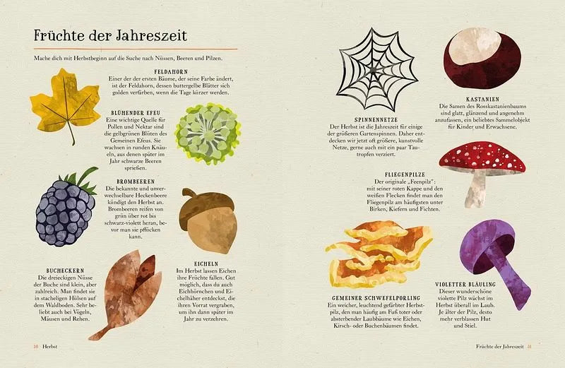 Im Flow mit den Jahreszeiten - 9783957289285 Knesebeck Verlag