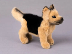 Schäferhundwelpe