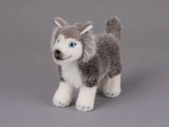 Huskywelpe