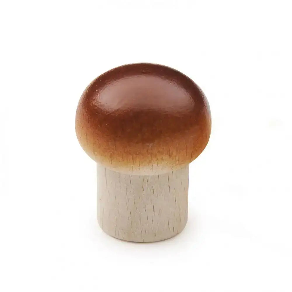 Champignon Erzi