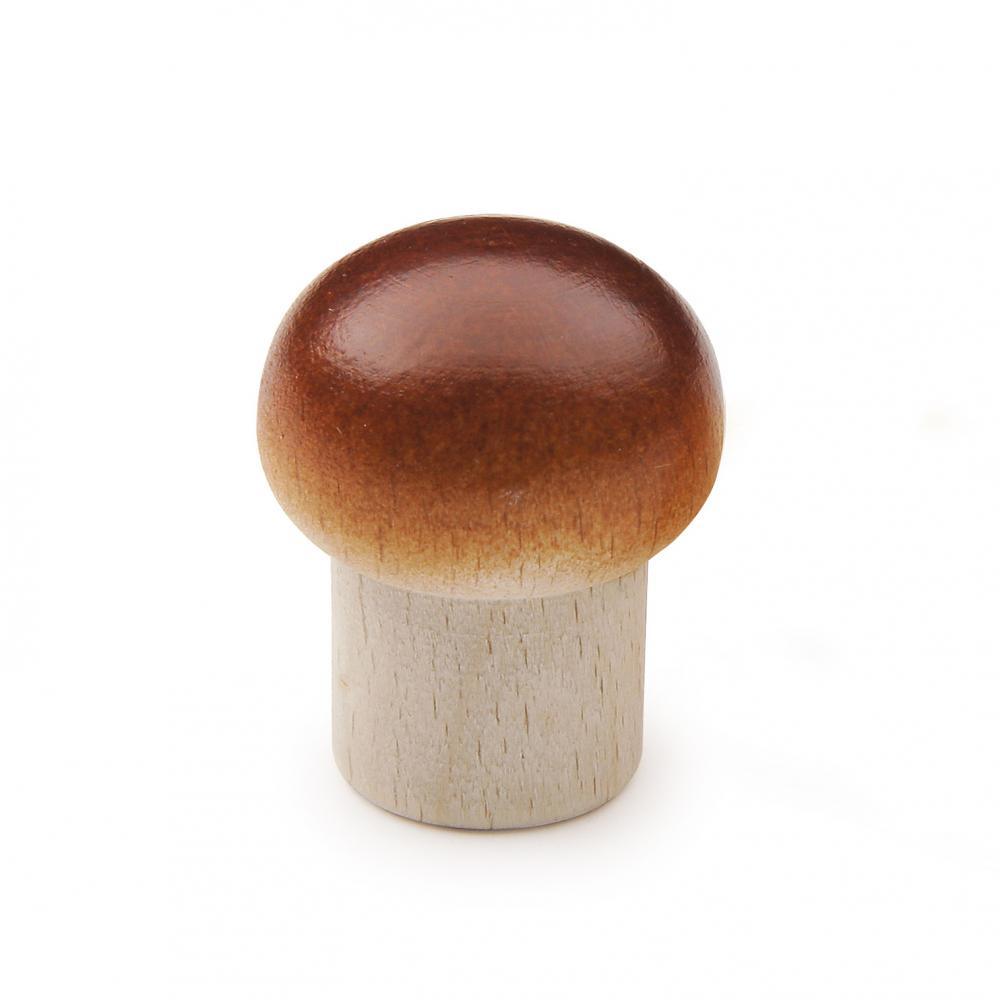Champignon Erzi