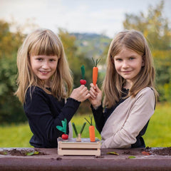 Gemüsebeet Erzi Garten Erzi
