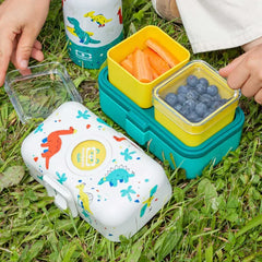 Bunte Kinder-Lunchbox mit Dino-Motiven, gefüllt mit Blaubeeren und Karotten, auf Gras