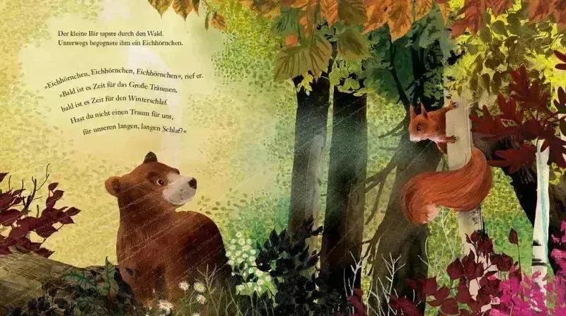 Kleiner Bär, großer Traum - 9783423764995 DTV
