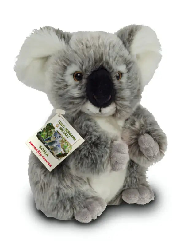 Koalabär 21 cm - Kuscheltier