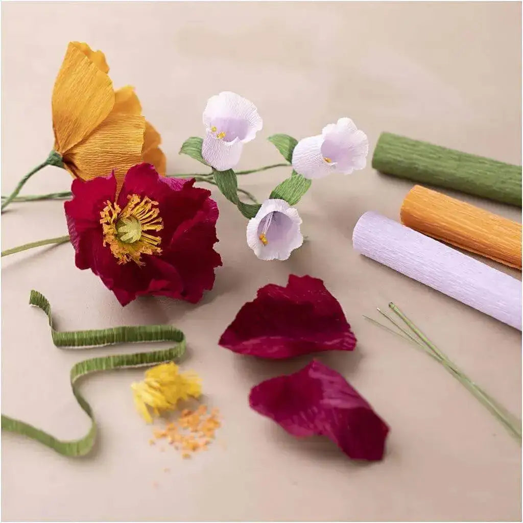 Kreativ Starter Set Kreppblume cchobby