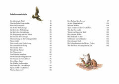 Latte Igel: Das große Latte-Igel-Buch - 9783522183864 Thienemann