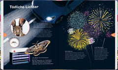 Licht
