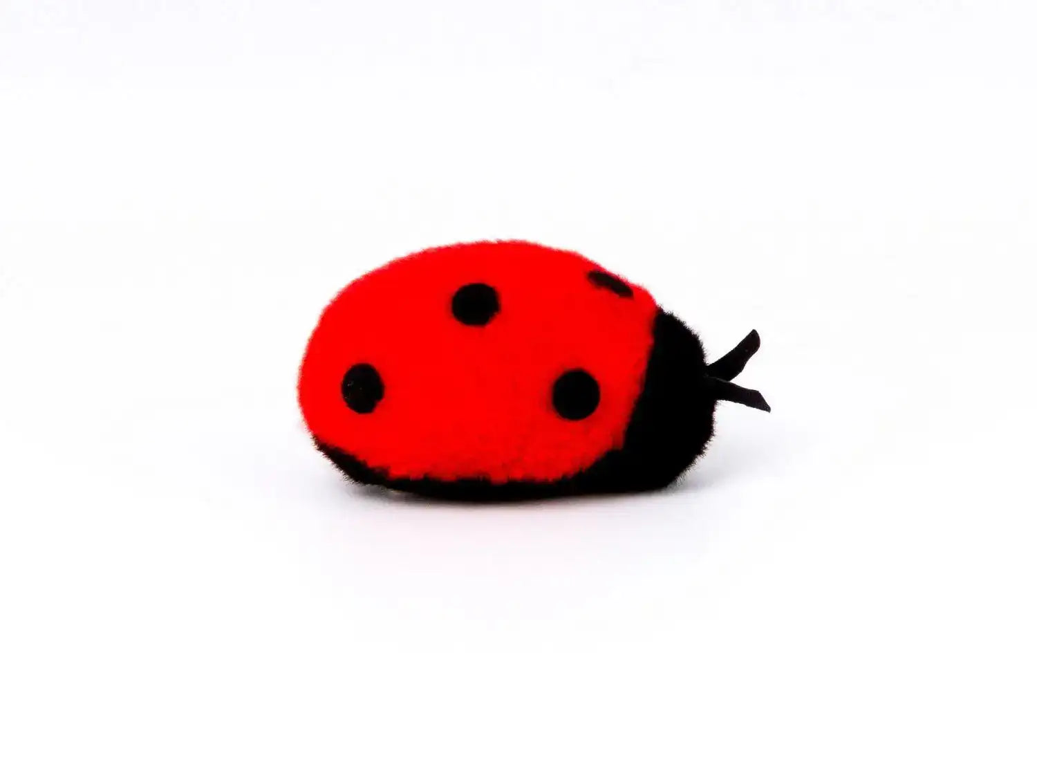 Marienkäferchen rot Kösen