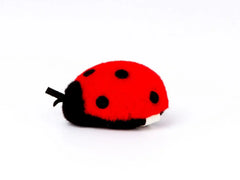 Marienkäferchen rot Kösen