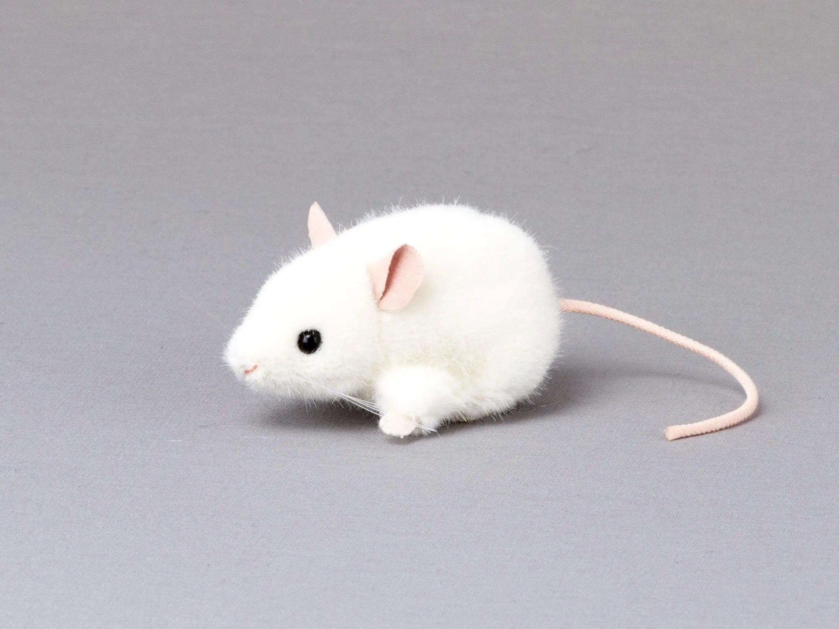 Maus Pieps weiß Kösen