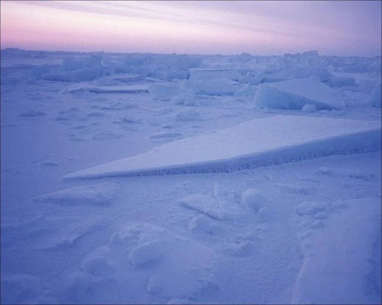 Mein Nordpol - 9783458644521 Insel Verlag