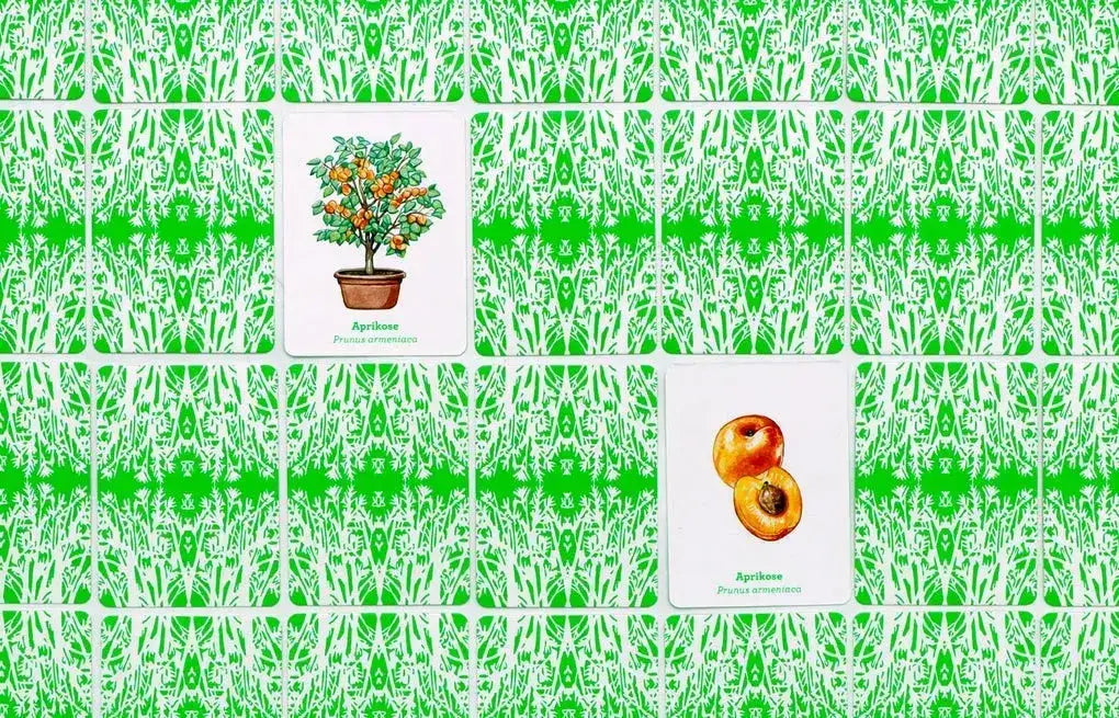 Memo Obst und Gemüse - 978-3-96244-368-9 Laurence King Spiele