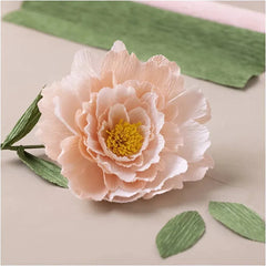 Mini Kreativ Set Krepppapier Pfingstrose - 977474 Creativ Company