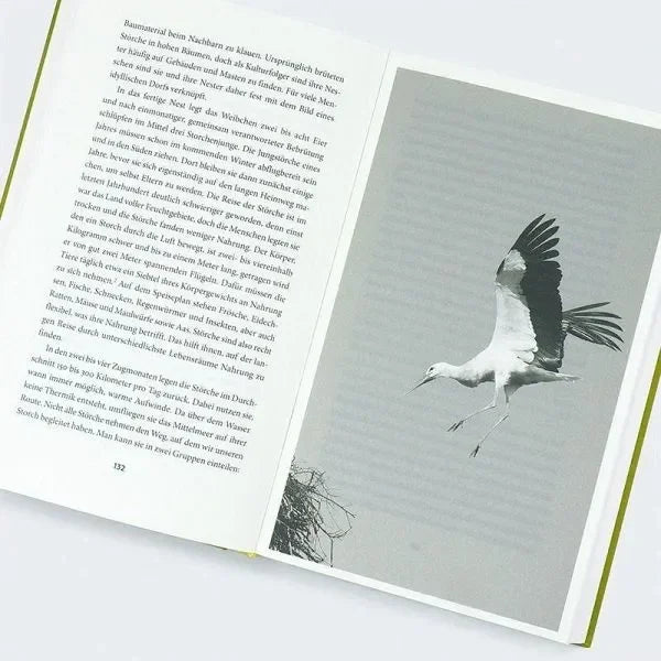 Move! - 9783446281103 Hanser Verlag