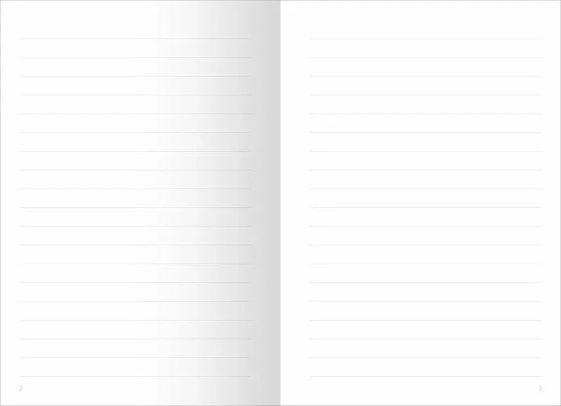 myNOTES Papeterie: Notizheft Fliegende Bücher - ars edition