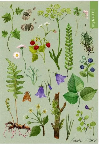 myNOTES Papeterie: Notizheft Naturschätze - Wald & Wiesenblumen - 4014489131786 ars edition