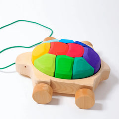Nachzieh Schildkröte Regenbogen Grimms