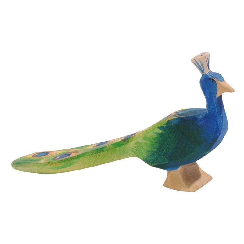 Pfau Ostheimer