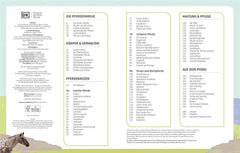 Pferde und Ponys Dorling Kindersley Verlag