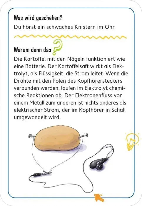 PhänoMINT – 75 supercoole Experimente für kleine Entdecker - 101078 Moses