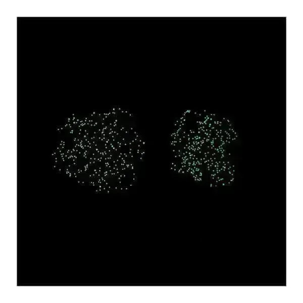 Poppik Lernposter Himmelskarte Carletto