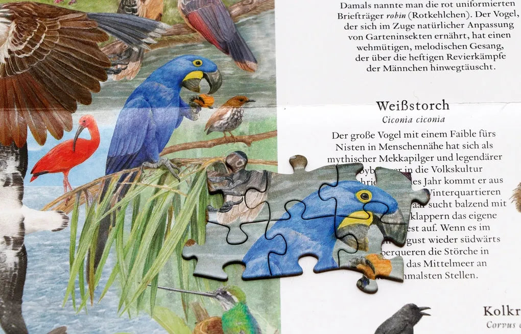 Puzzle 1000 Teile - In 50 Vögeln um die Welt - 9783962443818 Laurence King Spiele