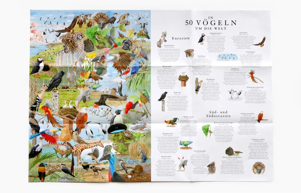 Puzzle 1000 Teile - In 50 Vögeln um die Welt - 9783962443818 Laurence King Spiele
