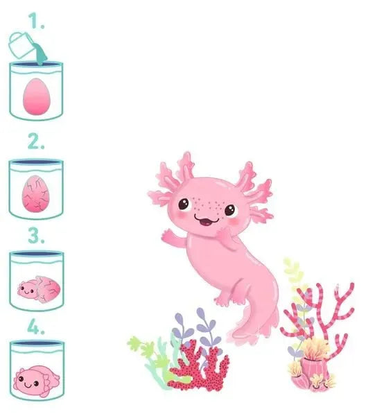 Schlüpfender Axolotl - 38241 Moses