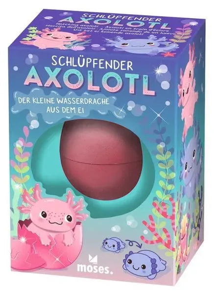 Schlüpfender Axolotl - 38241 Moses
