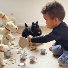 Tee Service aus Blech im Picknickkorb Egmont