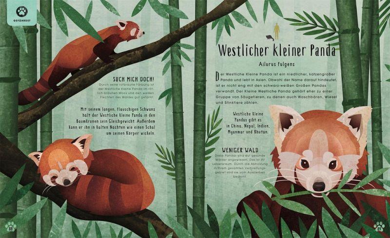 Tiere: 50 Geschichten über Mammut, Panda, Elefant und Co. - www. kunstundspiel .de 9783831046812