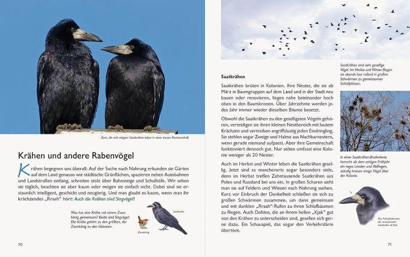Unserer Natur auf der Spur Natur-Verlag Wawra