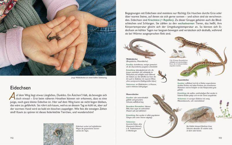 Unserer Natur auf der Spur Natur-Verlag Wawra