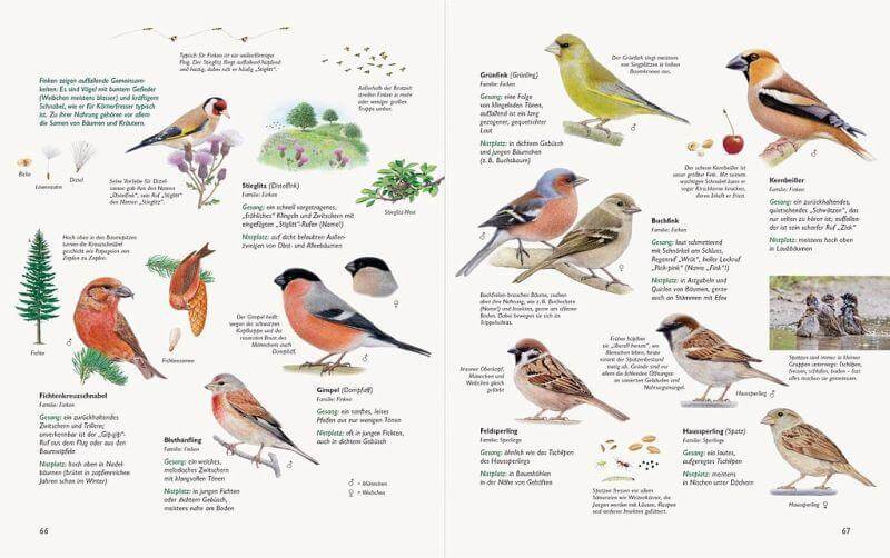 Unserer Natur auf der Spur Natur-Verlag Wawra