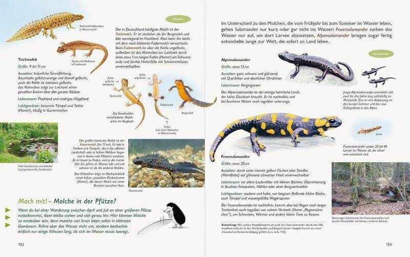 Unserer Natur auf der Spur Natur-Verlag Wawra