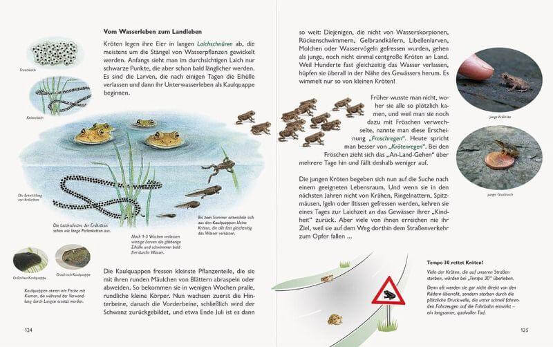 Unserer Natur auf der Spur Natur-Verlag Wawra